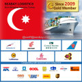 Günstige Fast Sea Freight Von China nach Türkei / Istanbul / Ismir / Mersin